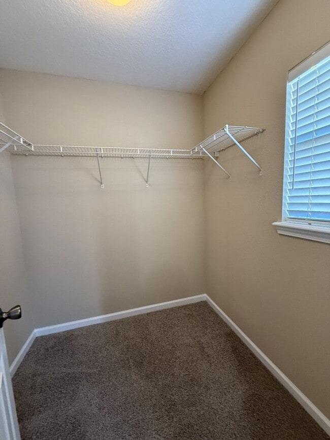 Building Photo - Move-in ready in Fleming Island Plantation