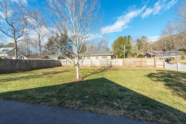 Building Photo - Charming Black Mountain Rental!