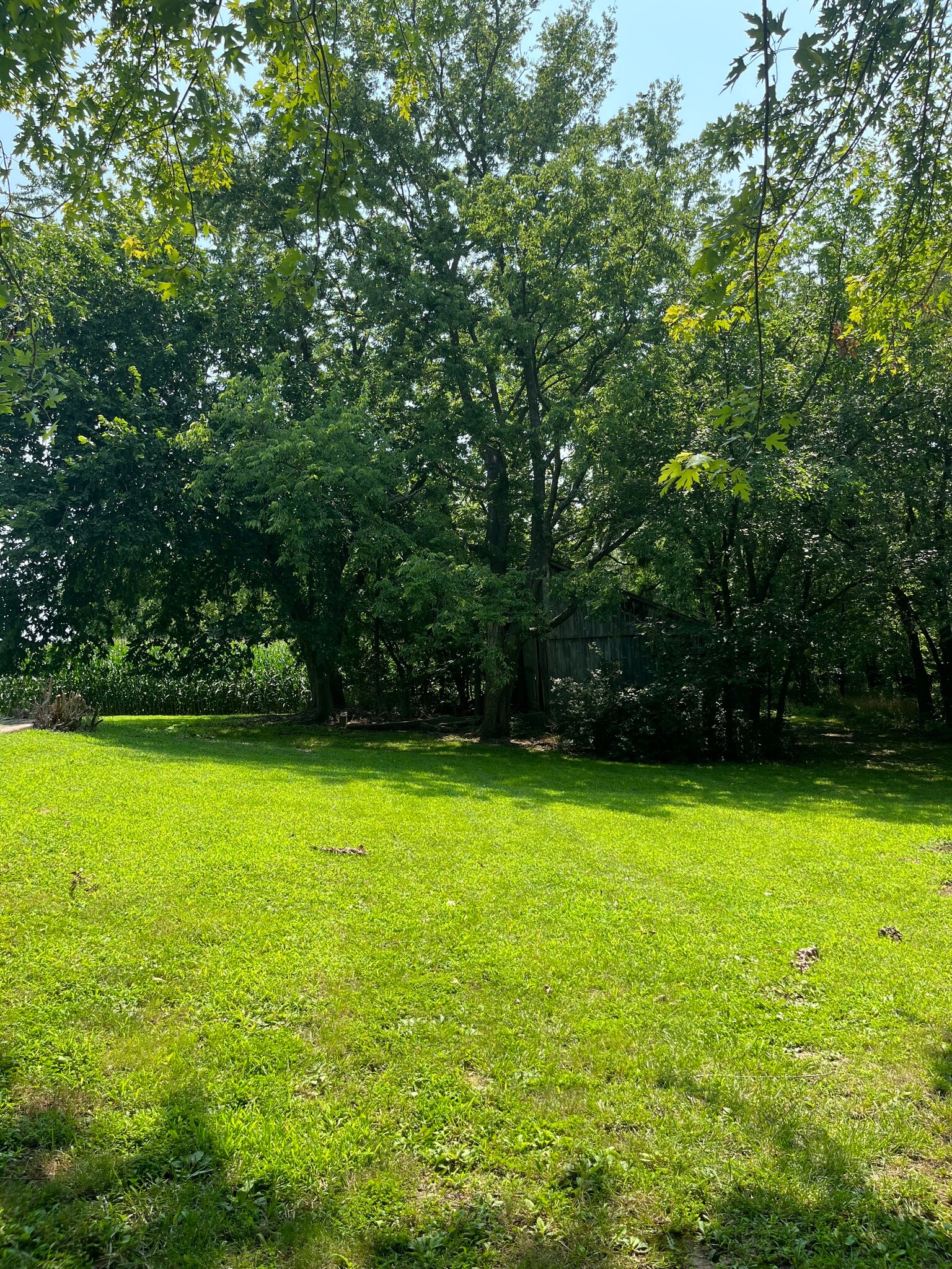 Building Photo - 28796 118th Rd