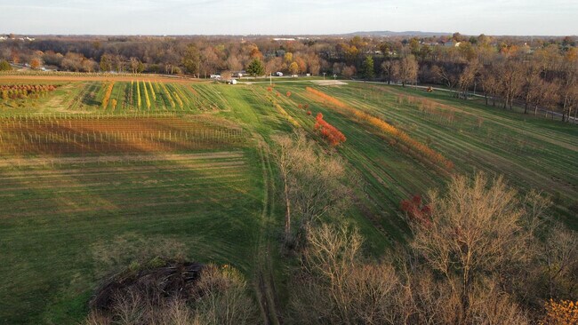 Building Photo - 1645 Burks Branch Rd