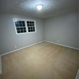Building Photo - 709 Brooks Rd