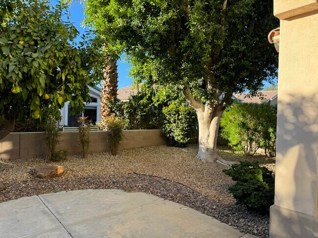 Building Photo - 78271 Desert Willow Dr
