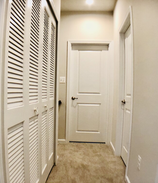 Building Photo - 2917 Stagg Ln