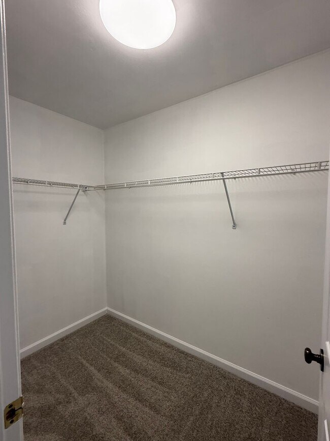 Building Photo - Newly Renovated Duplex in North County