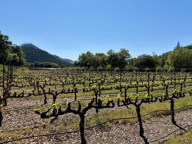 Building Photo - 321 Dutch Henry Canyon Rd