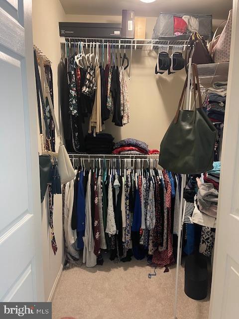 Building Photo - 2039 Gallows Tree Ct