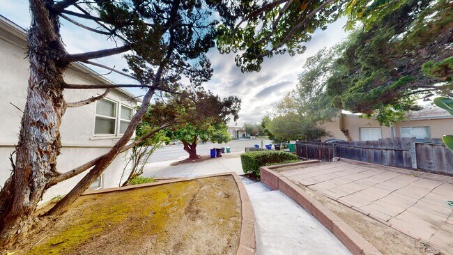 Building Photo - Large House!! Quick walk to campus!!