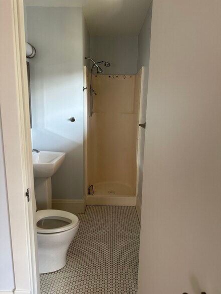 Master Bathroom - 1110 N Maplewood Ave