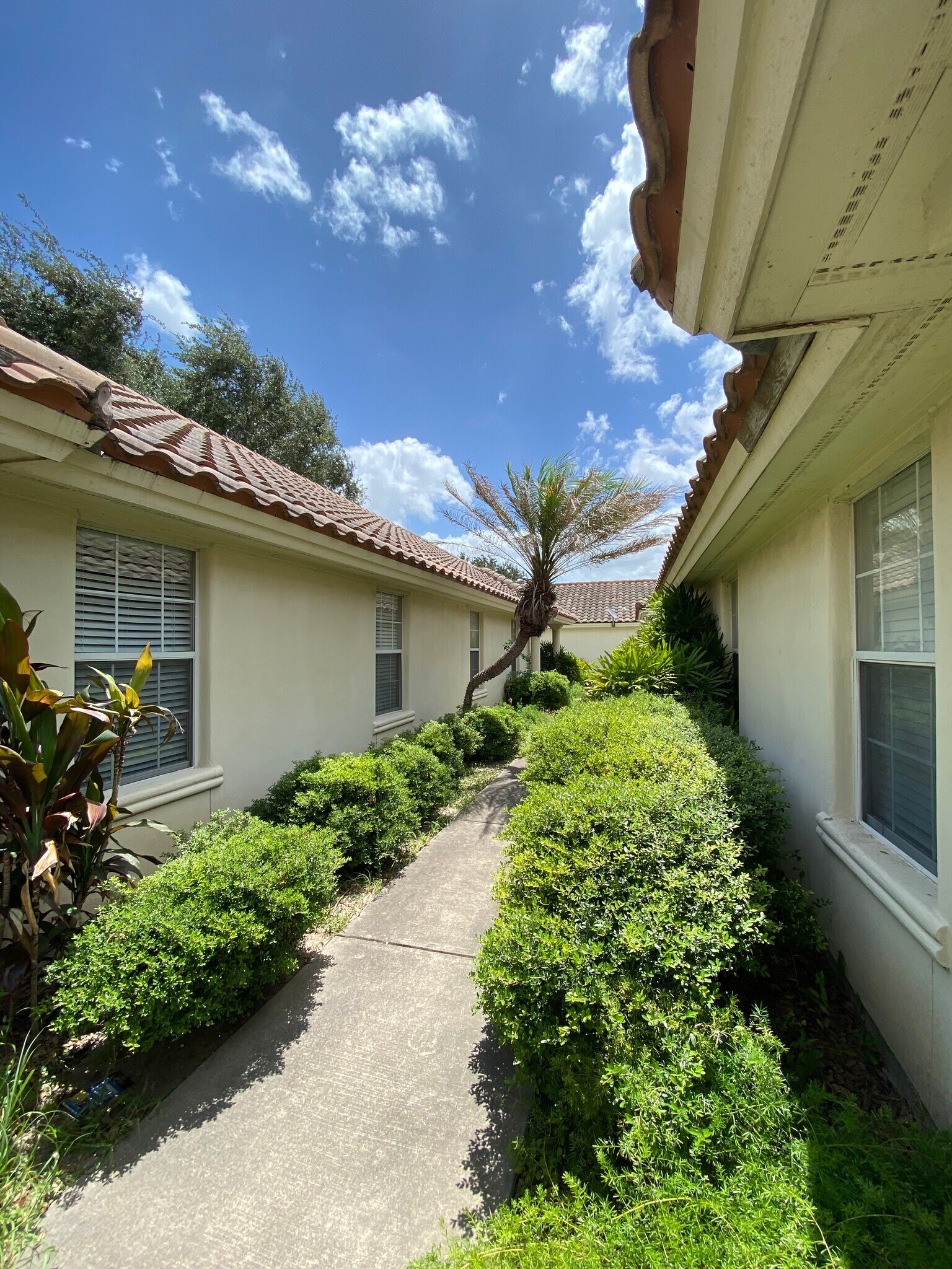 Building Photo - 1209 Swallow Ave