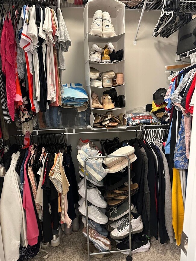 Building Photo - Coming Soon