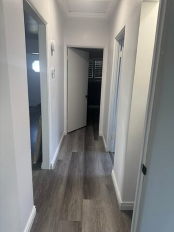 Hallway view - 445 W Ellis Ave