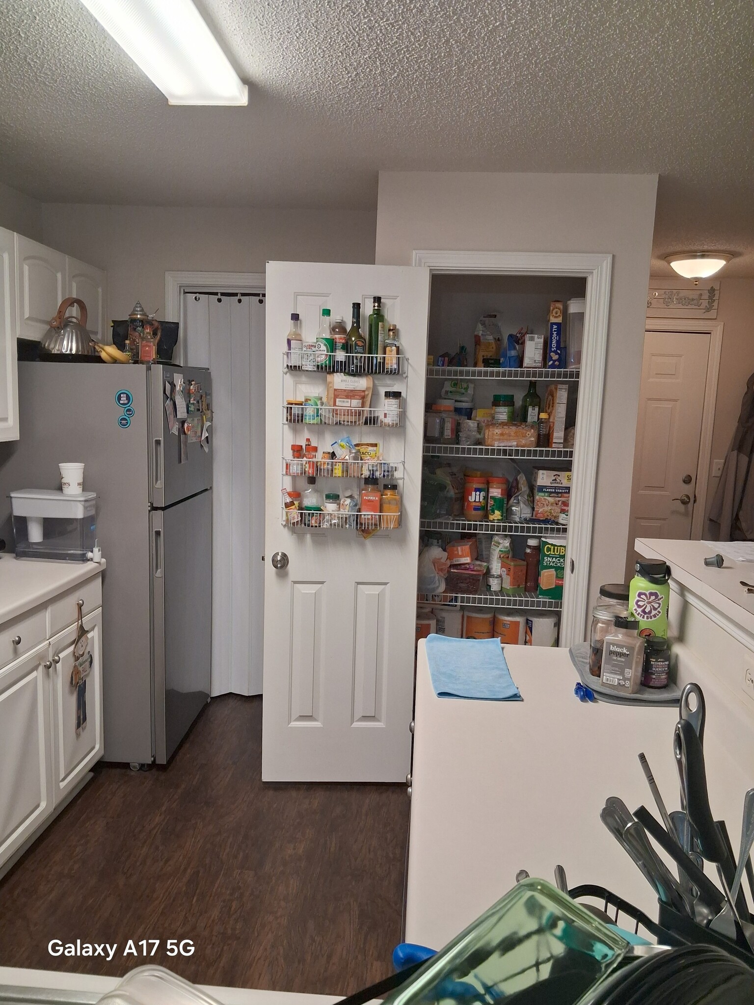 Roomy pantry closet - 100 Kensington Blvd