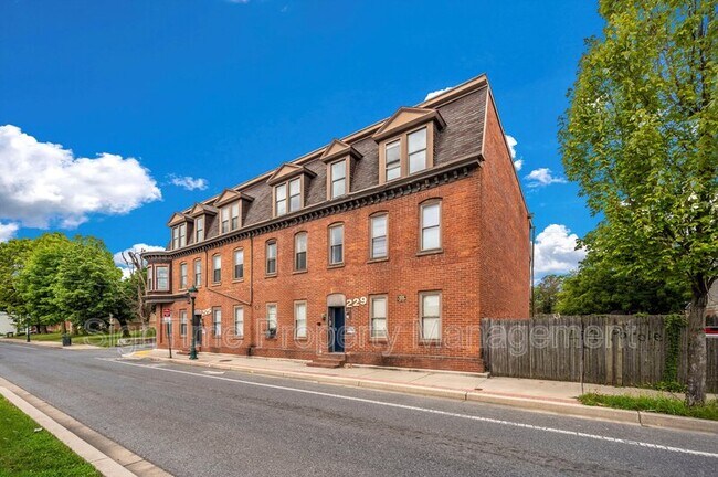 Building Photo - 229 Jonathan St