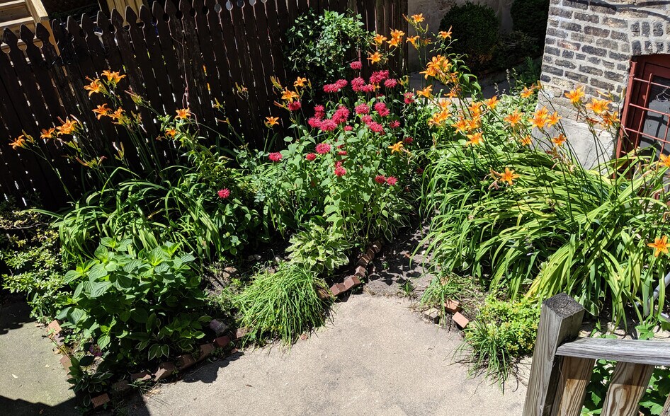 Garden - 1057 W Balmoral