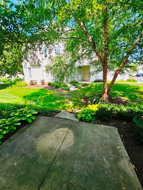 Building Photo - 2944 White Thorn Cir
