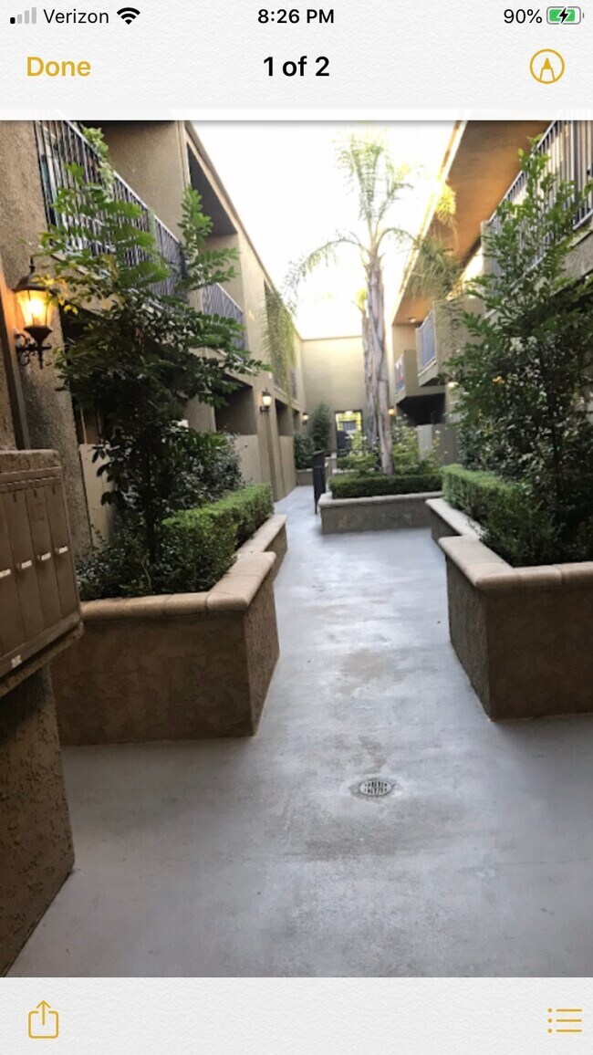 Building Courtyard - 215 E Elmwood Ave