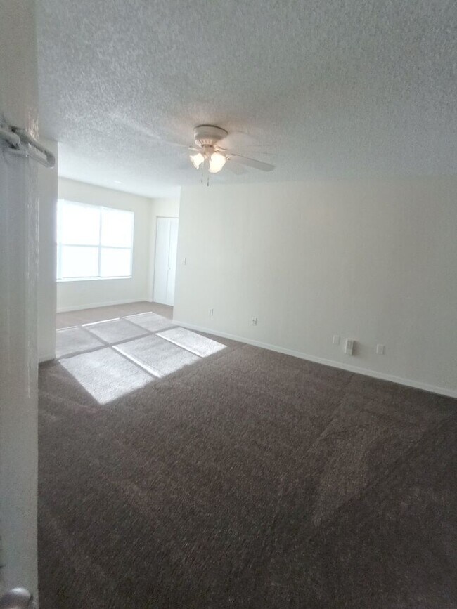 Building Photo - V1113