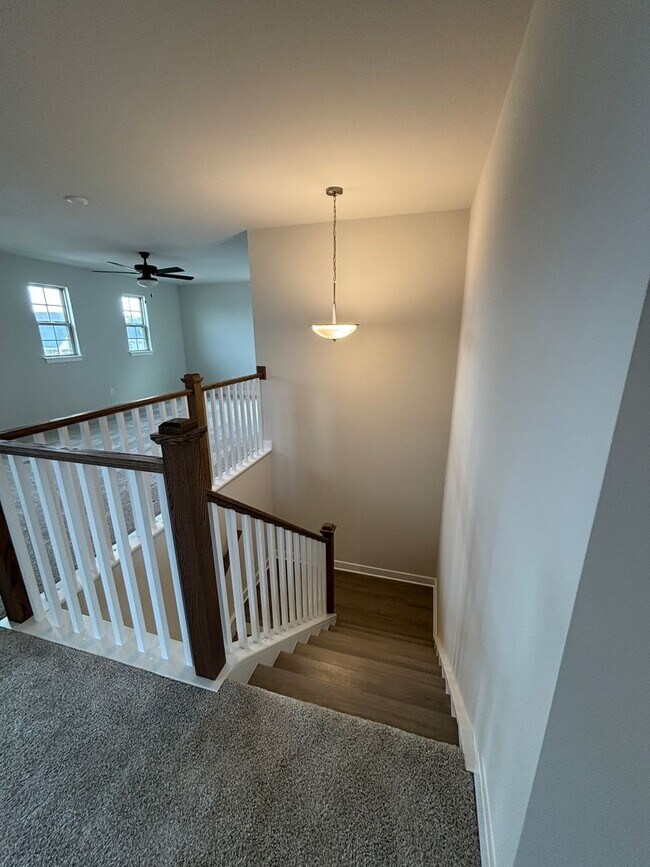 Building Photo - Luxury- New Construction