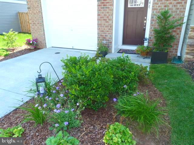 Building Photo - 146 Drexel Ct