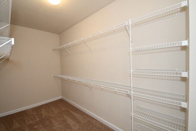 Building Photo - MOVE-IN READY Carolina Forest