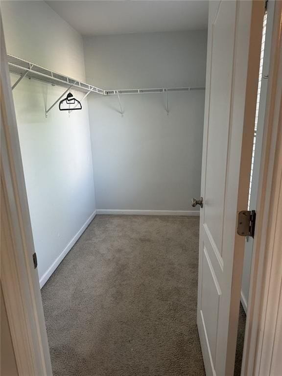 Building Photo - 2830 Cooper Brook Dr