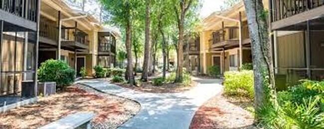 Building Photo - Nice and spacious condo on the 3rd with washer and dryer, near USF and I-75