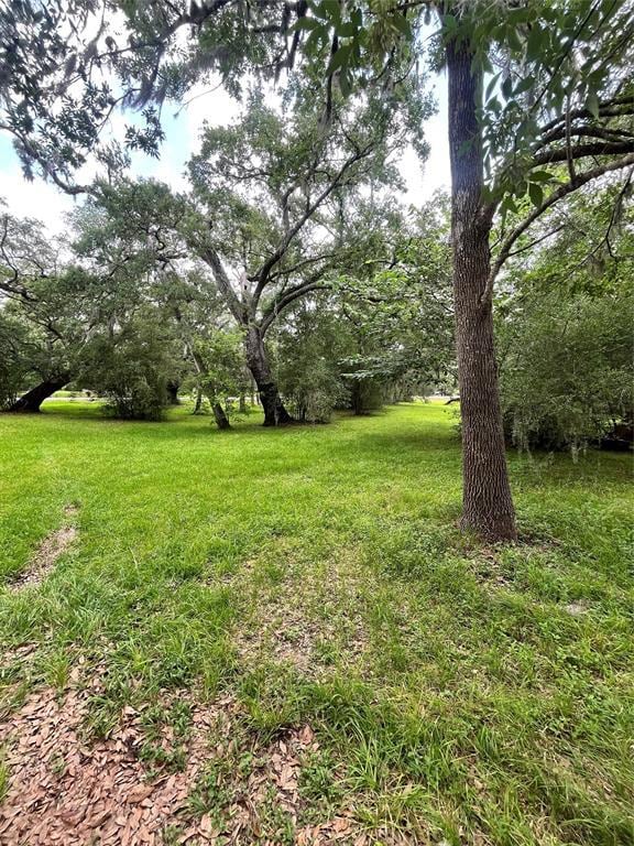 Building Photo - 2103 Bayou Dr