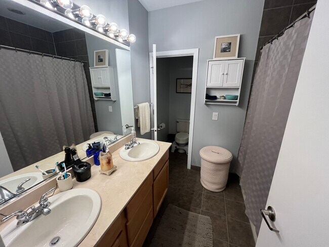 Master Bath - 1713 W Diversey Pky