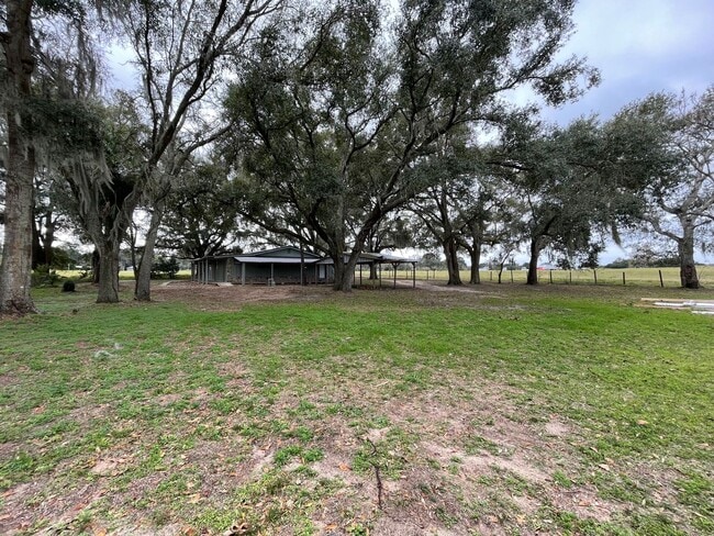 Building Photo - 3 Bed 2 Bath Thonotosassa
