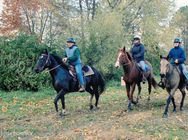 Building Photo - 14 Homestead Ln