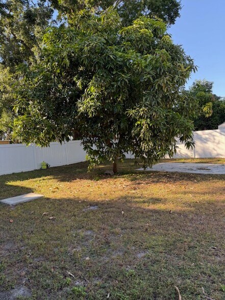 Backyard - 3415 W Braddock St