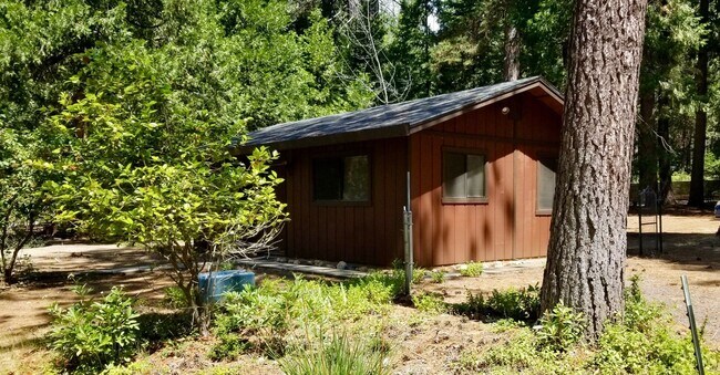 Primary Photo - TODD VALLEY (Foresthill) SHARED PROPERTY