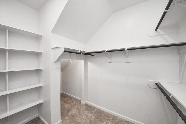 Building Photo - 4166 Colony Ln