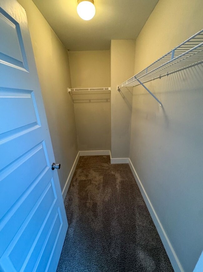 Building Photo - 4002 Currant Ct