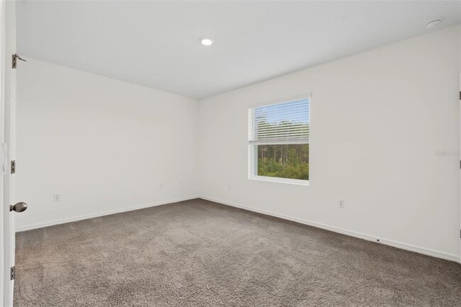 Building Photo - 32612 Turtle Grace Lp
