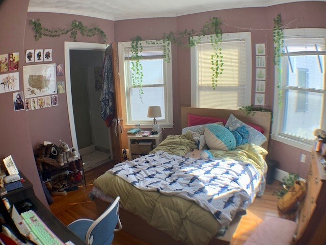 Building Photo - 200 Hyde Park Ave