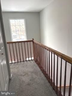 Building Photo - 4908 Tall Cedar Ct