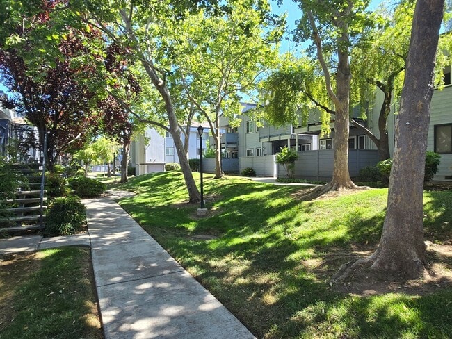 Building Photo - Large Downstairs Condo in Nice Community, ...