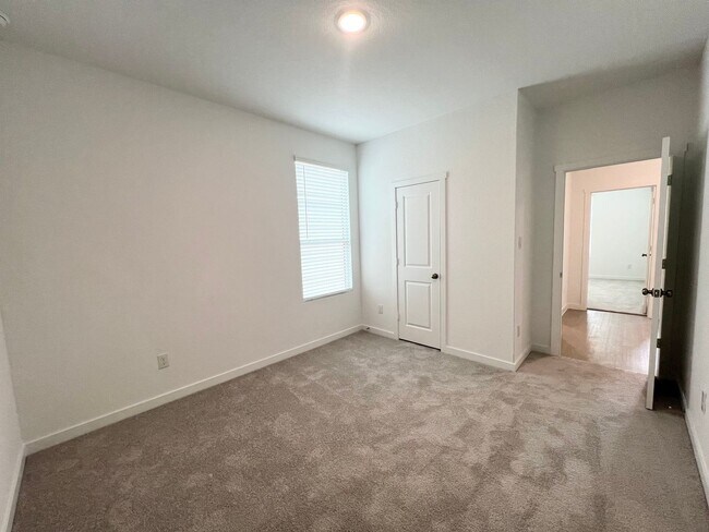 Building Photo - STUNNING New Construction 4/3 in Voss Farms, NBTX