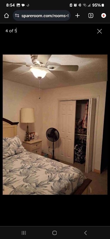 Building Photo - 4984 Pine Cone Ct