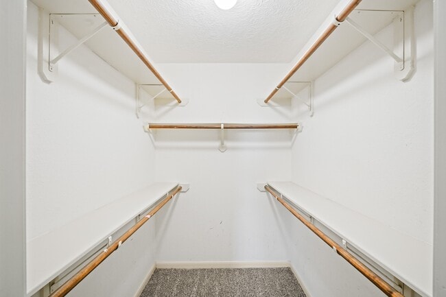 Building Photo - 24307 Silver Maple Dr