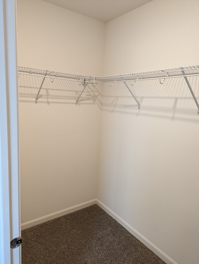 Walk-in Closet - 1129 Hawk Hollow Dr