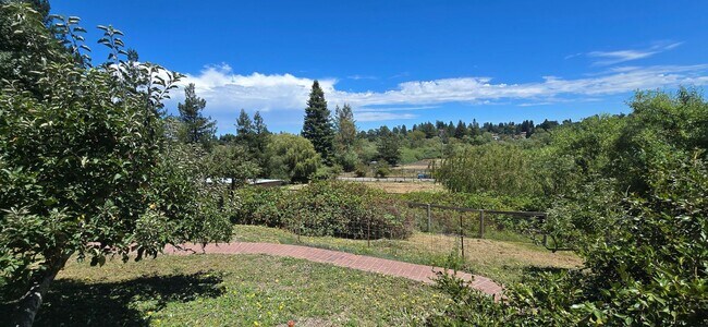 Building Photo - Charming Boutique Studio – Watertrough Road | Near Sebastopol & Bodega Bay