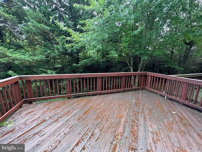 Building Photo - 4065 Cressida Pl