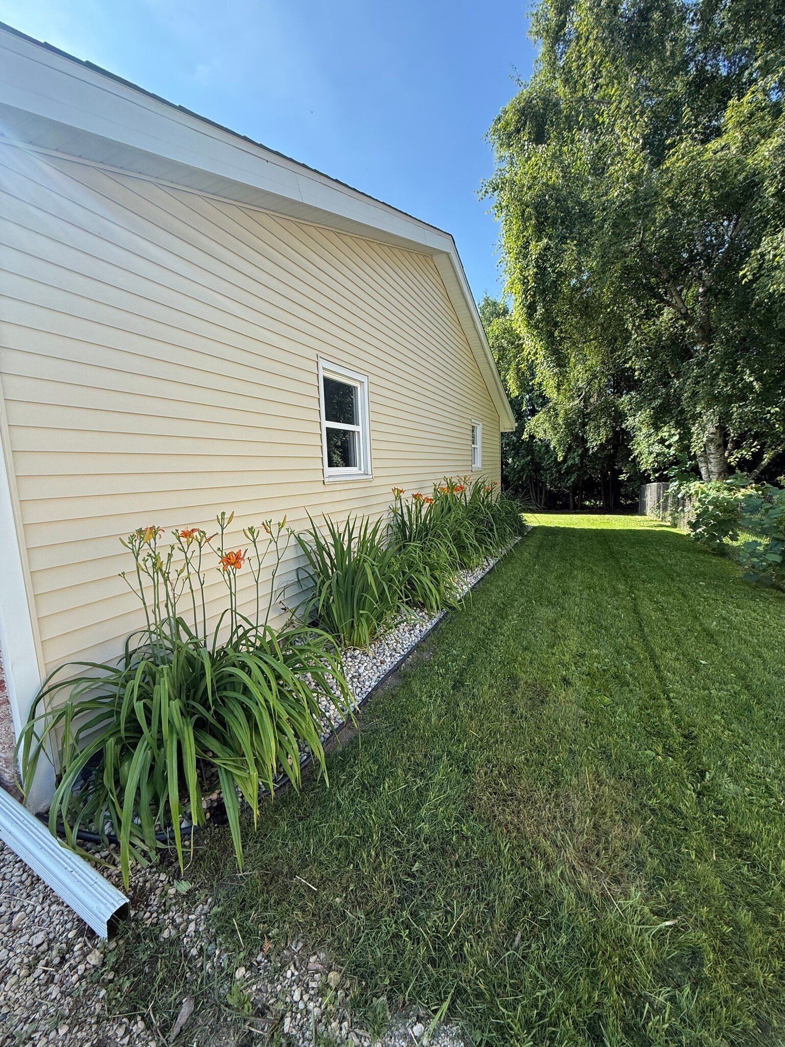 Side Yard - 211 E Paradise Dr