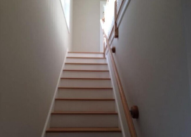 Building Photo - 18 Ormerod Ave