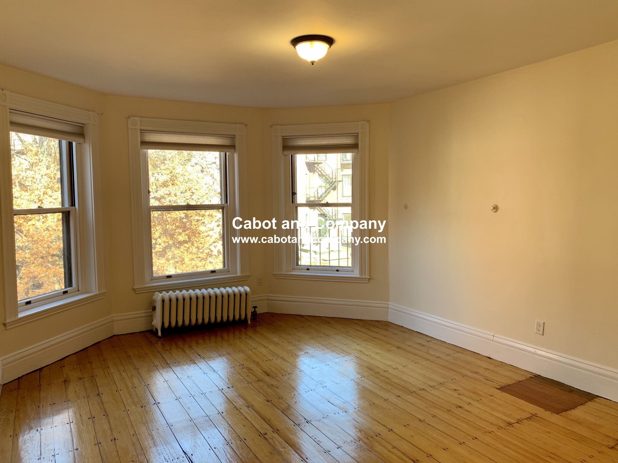 Building Photo - 293 Newbury St