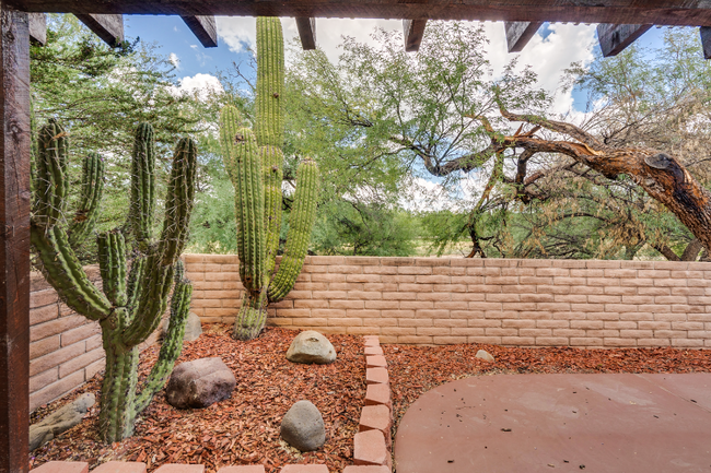 Building Photo - 134 Calle Barrio De Tubac