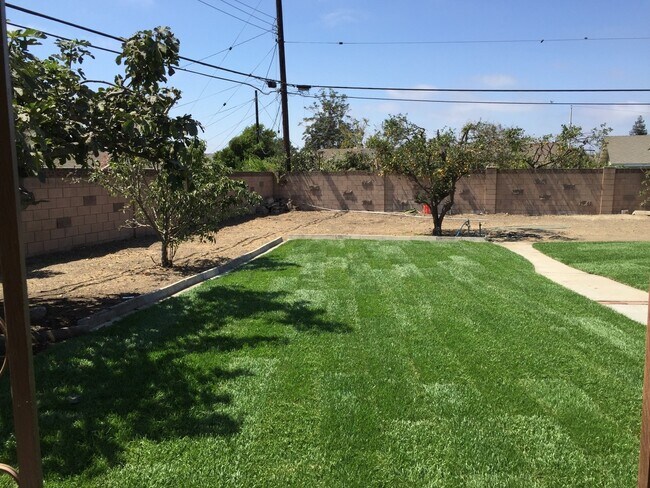 Building Photo - One story home on a HUGE lot in Central Camarillo
