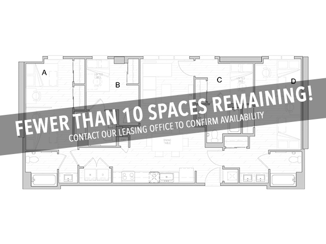 D12 - Fewer Than 10 Spaces Remaining! - Identity Davis Student Apartments